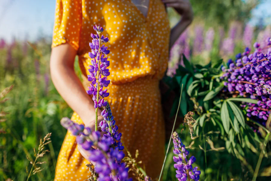 Gifts That Change Lives